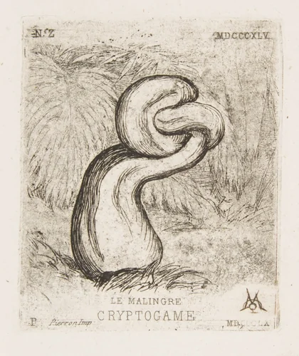 The Puny Cryptogamia by Charles Meryon, print, 1860