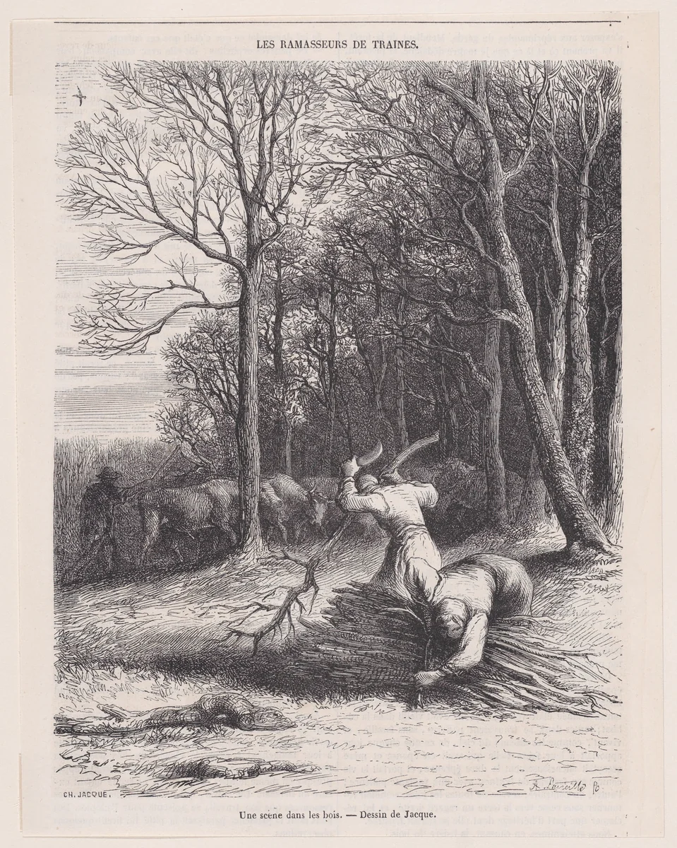A Scene in the Woods, from "Le Magasin Pittoresque" by Charles Jacque, print, 1851