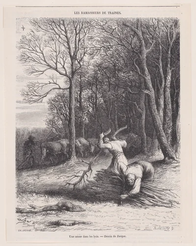 A Scene in the Woods, from "Le Magasin Pittoresque" by Charles Jacque, print, 1851
