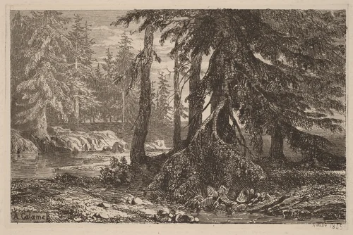 Essais de gravure à l'eau forte par Alexandre Calame, III, pl. 16 by Alexandre Calame, portfolio, 1838-1850