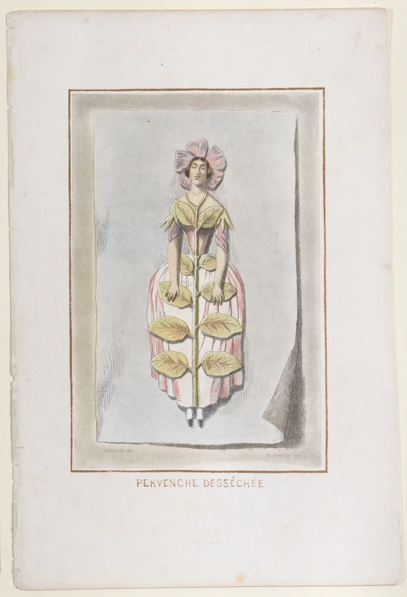 Perveche Desséchée, from "Les Fleurs Animées" by J. J. Grandville, print, 1847
