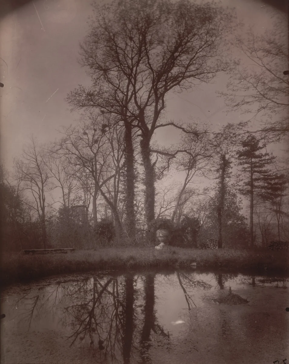 Parc de Sceaux by Eugène Atget, photograph, 1925