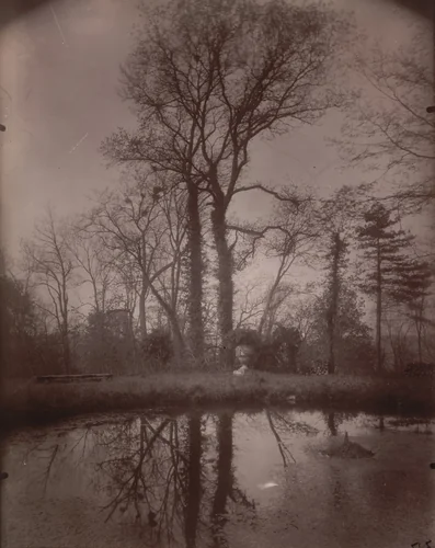 Parc de Sceaux by Eugène Atget, photograph, 1925
