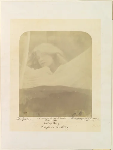 The South West Wind by Julia Margaret Cameron, photograph, 1864