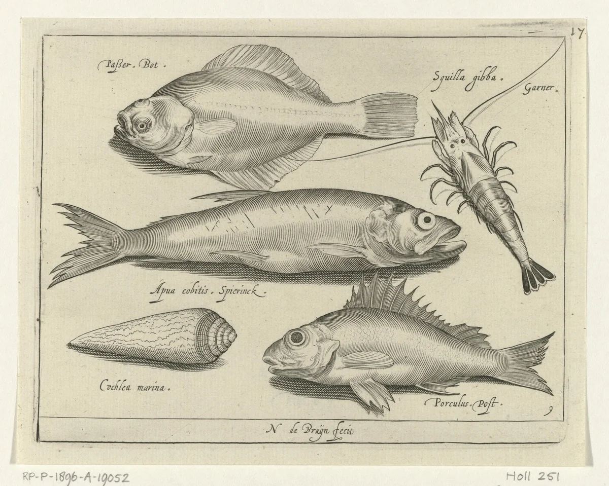 Bot, garnaal, spiering en pos by Unknown, print, 1581-1656