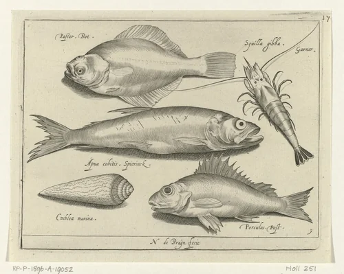 Bot, garnaal, spiering en pos by Unknown, print, 1581-1656