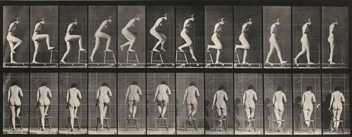 Plate Number 180. Stepping on and over a chair by Eadweard Muybridge, photograph, 1887