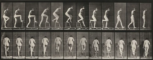 Plate Number 180. Stepping on and over a chair by Eadweard Muybridge, photograph, 1887