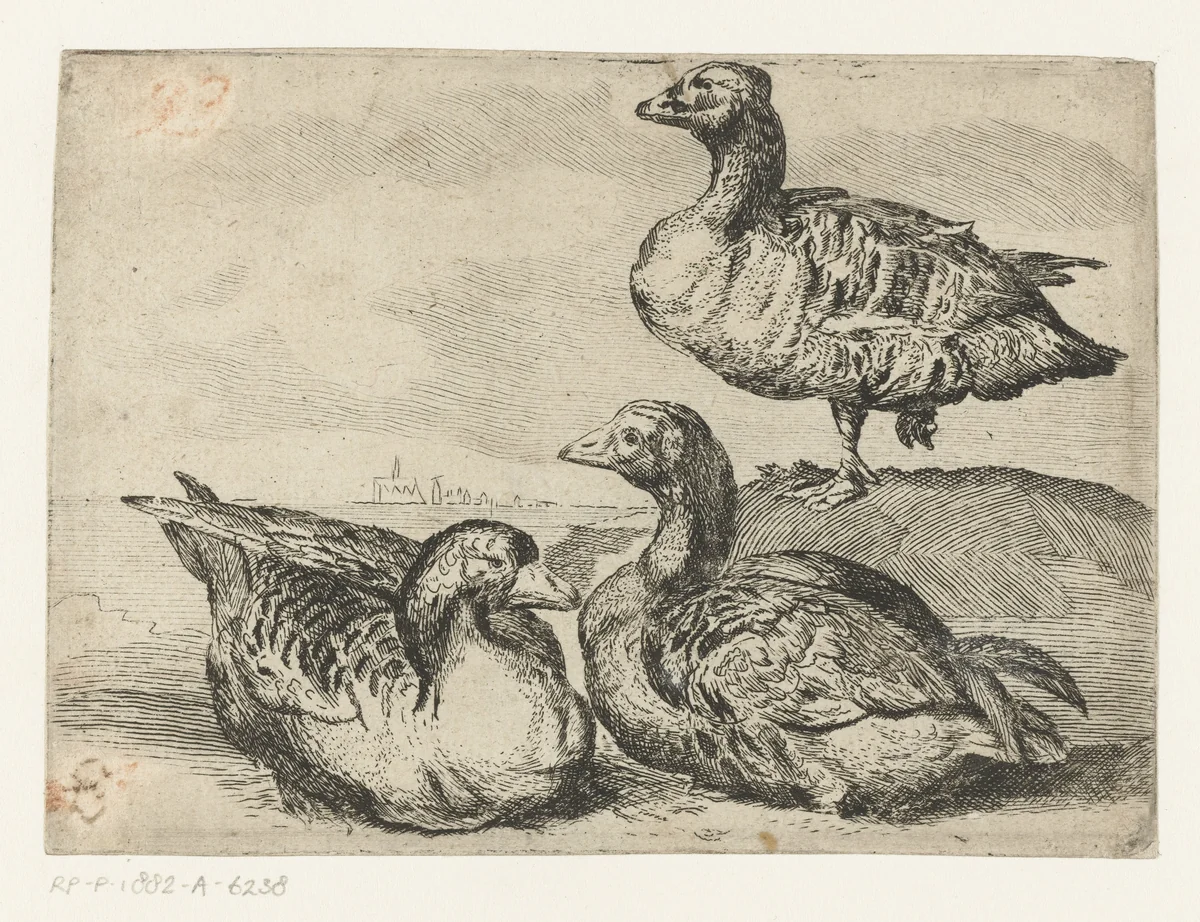 Drie ganzen by anonymous, print, 1610