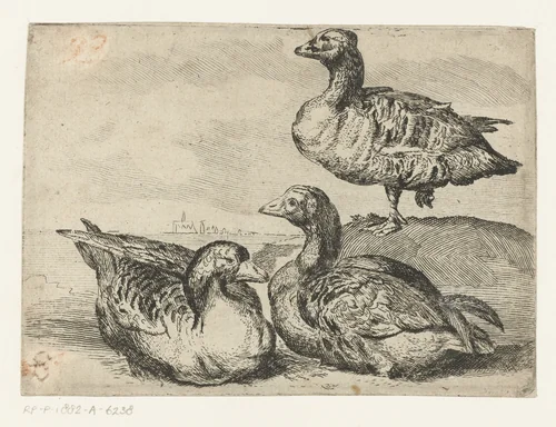 Drie ganzen by anonymous, print, 1610