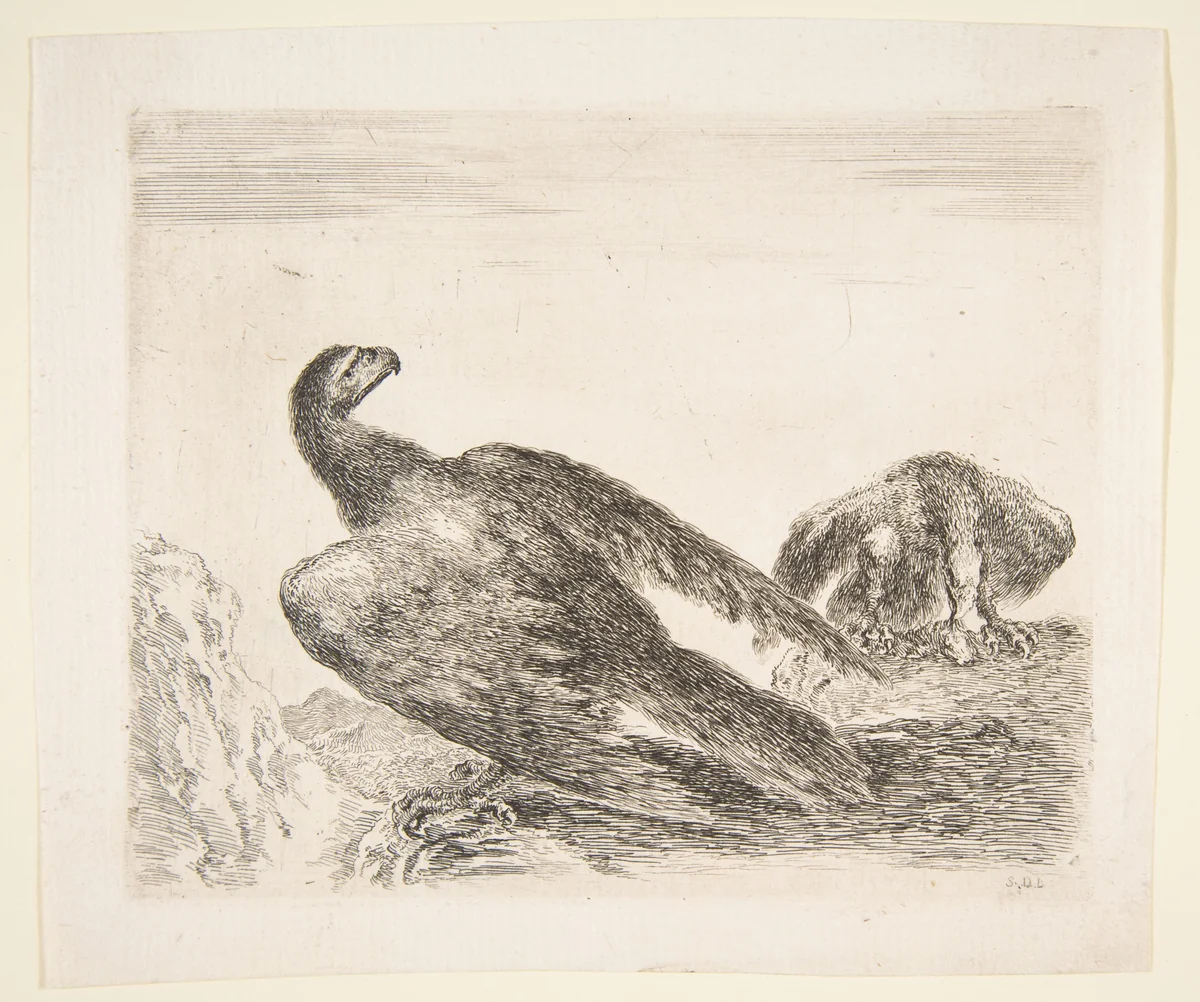 Two eagles, one with prey, from 'Eagles' (Les aigles) by Stefano della Bella, print, 1646-1656
