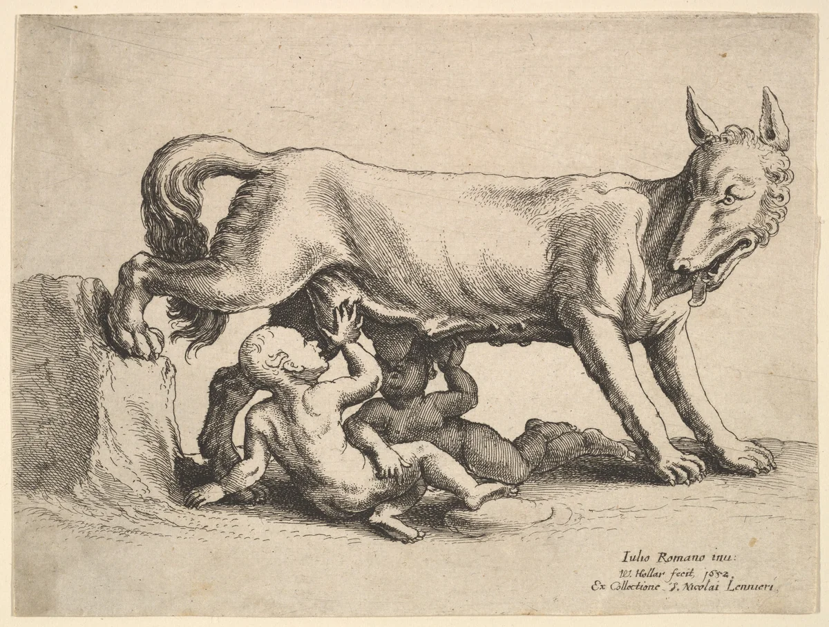 Romulus and Remus by Wenceslaus Hollar, print, 1652