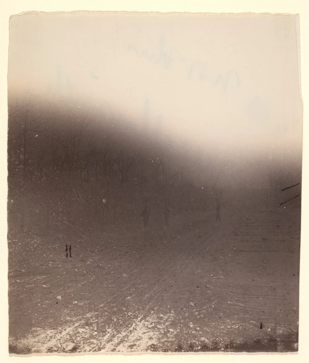 [The Wilderness Battlefield] by G. O. Brown, photograph, 1866