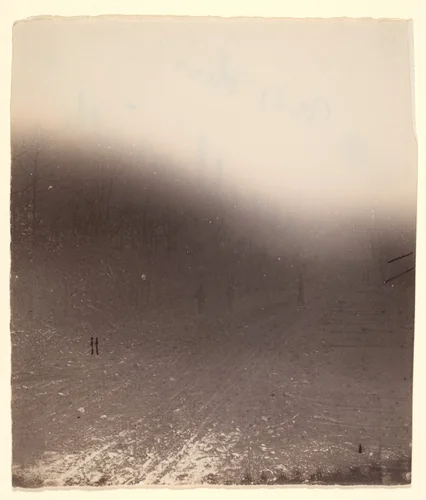 [The Wilderness Battlefield] by G. O. Brown, photograph, 1866