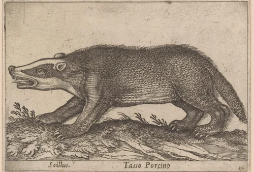 Varkensdas by Antonio Tempesta, print, 1565-1630