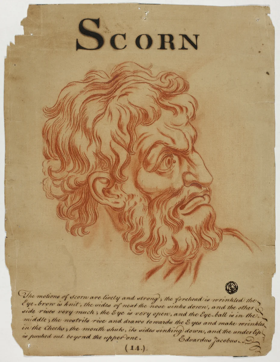 Scorn by Charles Le Brun, drawing, 1698-1799