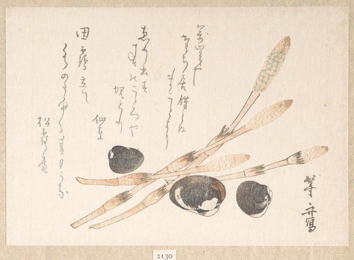 Tsukushi Plant and Shijimi Shells by Uematsu Tōshū, print, 1615-1868