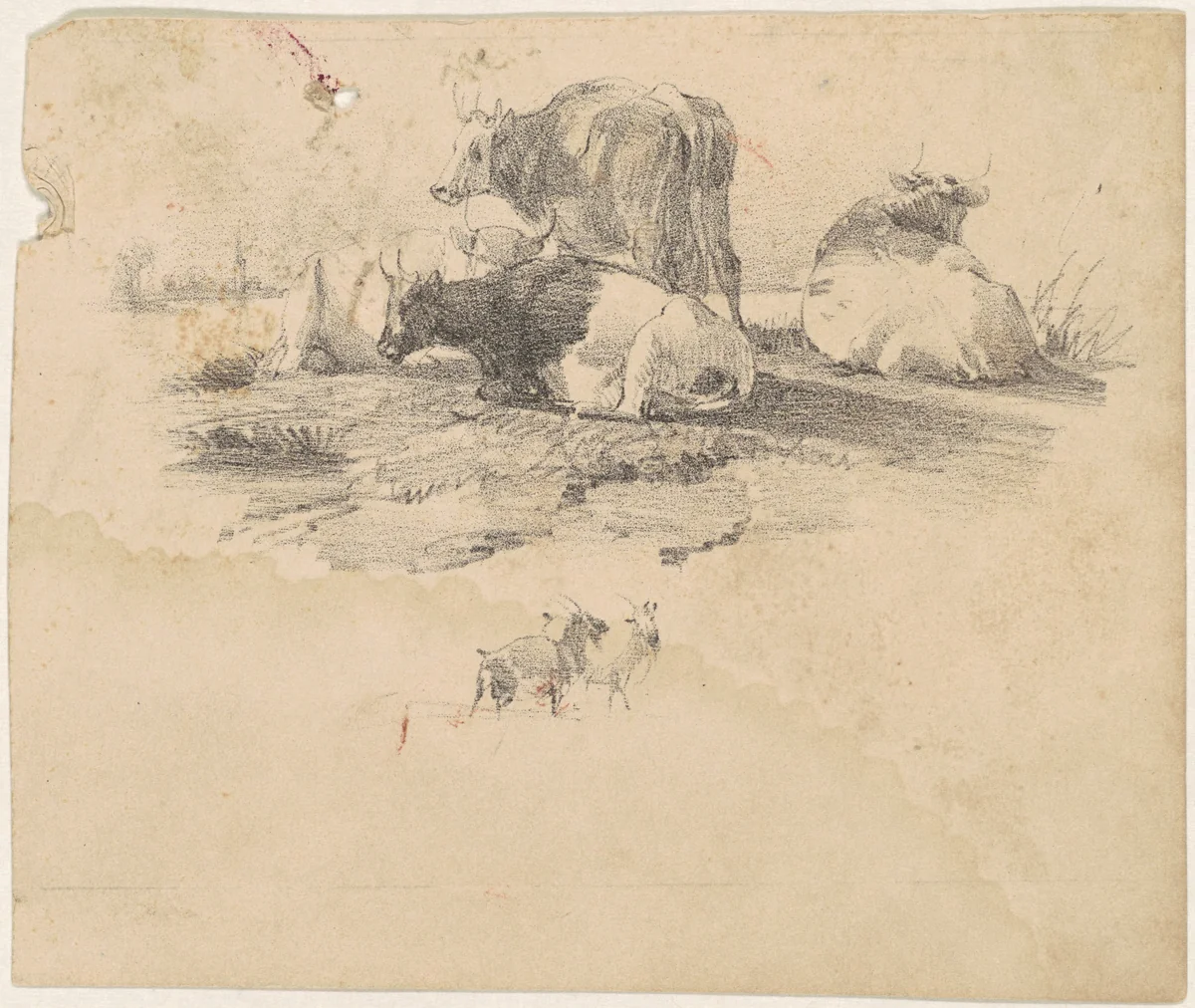 Herd of Cattle by American 19th Century, print, 1801-1899