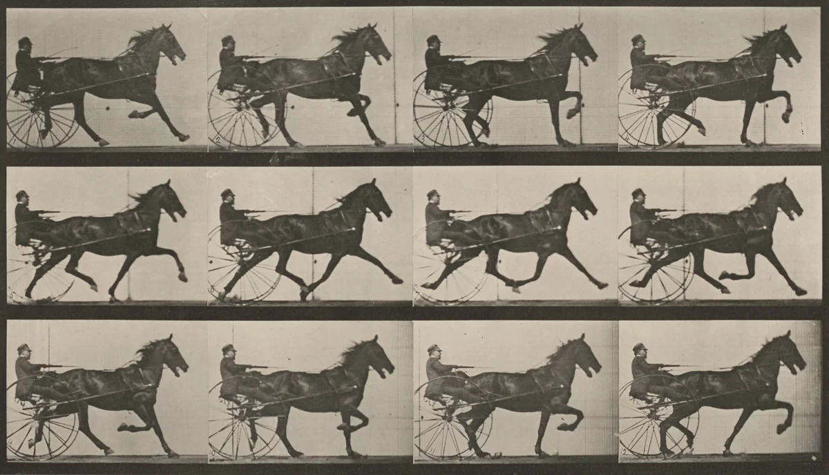 Plate Number 606. "Reuben" trotting, harnessed to sulky by Eadweard Muybridge, photograph, 1887