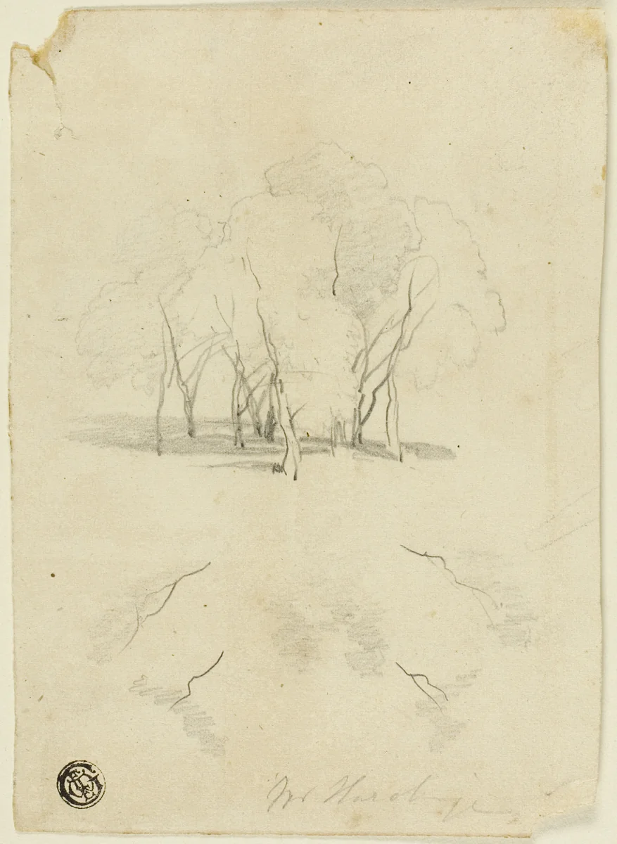 Clump of Trees by James Duffield Harding, drawing, 1818-1863