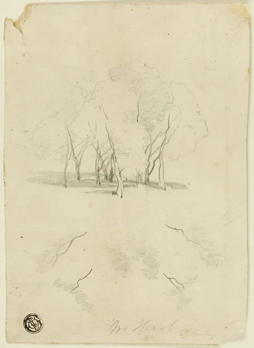 Clump of Trees by James Duffield Harding, drawing, 1818-1863
