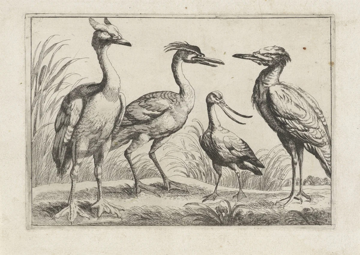 Vier waadvogels by anonymous, print, 1654-1712