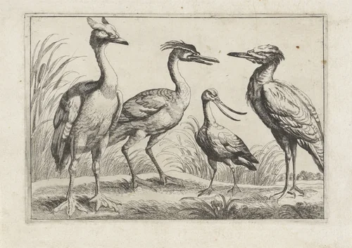 Vier waadvogels by anonymous, print, 1654-1712