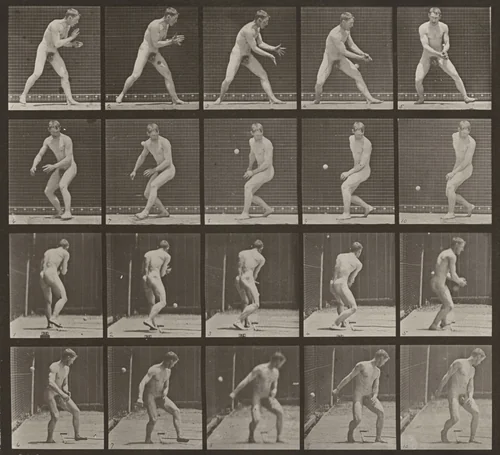 Plate Number 288. Baseball, error by Eadweard Muybridge, photograph, 1887