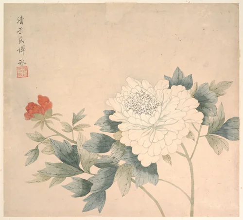 Flower Study by Yun Bing, painting, 1644-1699