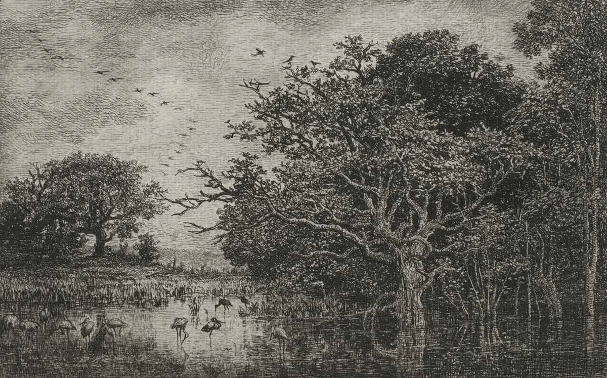 The Marsh with Storks by Charles-François Daubigny, print, 1846-1856