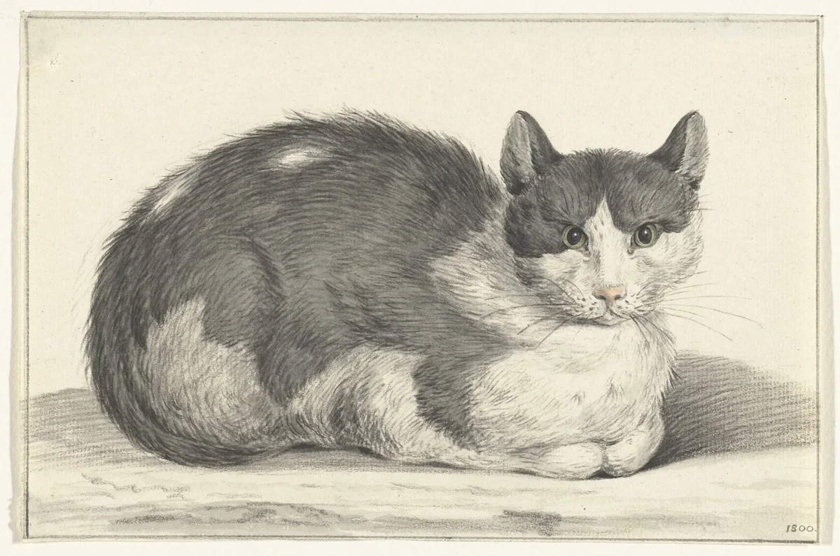 Liggende kat, naar rechts by Jean Bernard, drawing, 1800