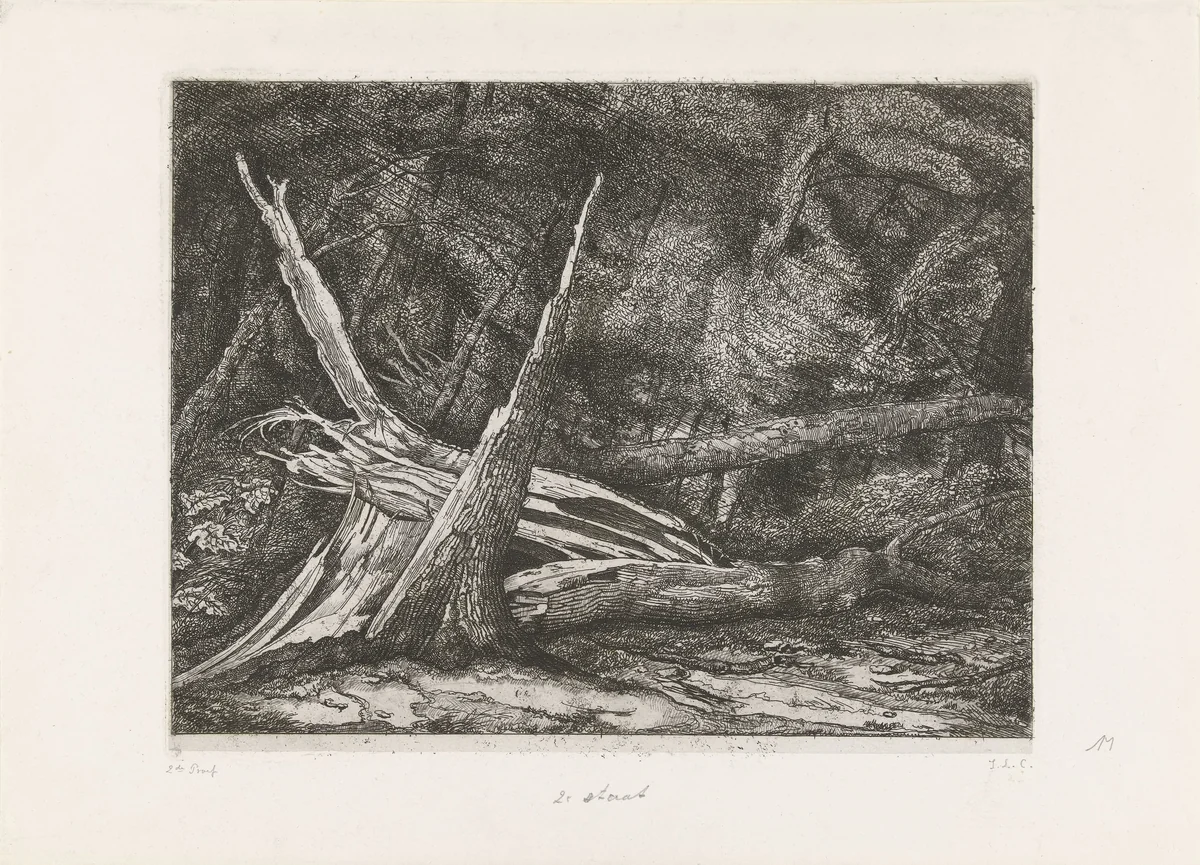 Gevelde bomen na een storm by Jacobus Ludovicus Cornet, print, 1853-1882