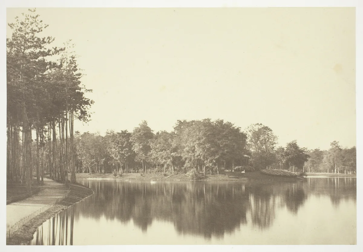 Untitled, from the series "Bois de Boulogne" by Charles Marville, photograph, 1845-1855