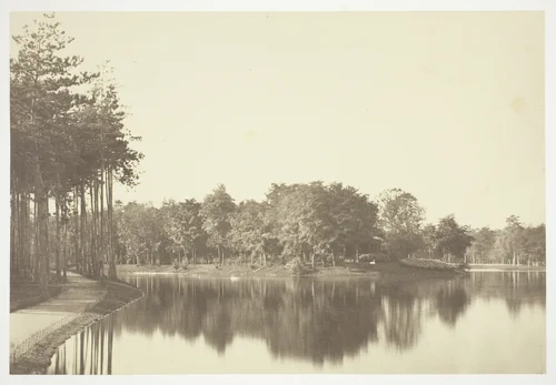 Untitled, from the series "Bois de Boulogne" by Charles Marville, photograph, 1845-1855