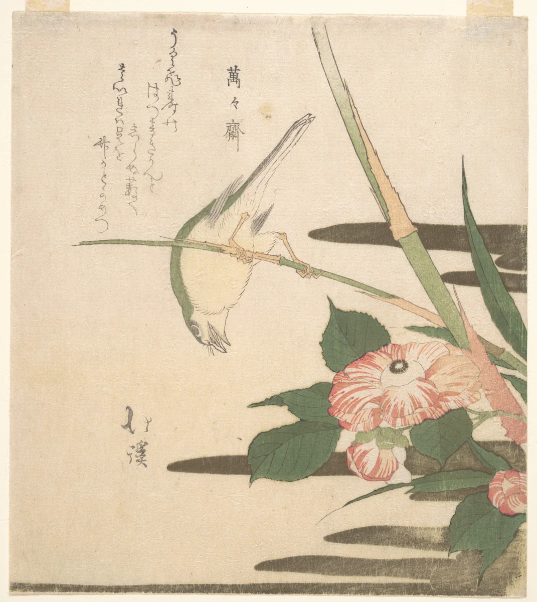Warbler and Camellia by Totoya Hokkei (魚屋北渓), print, 1815-1820