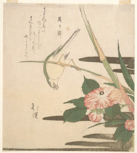 Warbler and Camellia by Totoya Hokkei (魚屋北渓), print, 1815-1820