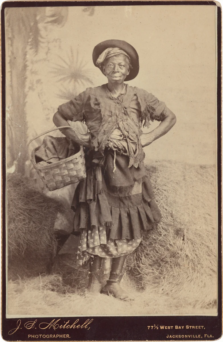 Portrait of a Woman by H. F. Maneely, photograph, 1883-1893