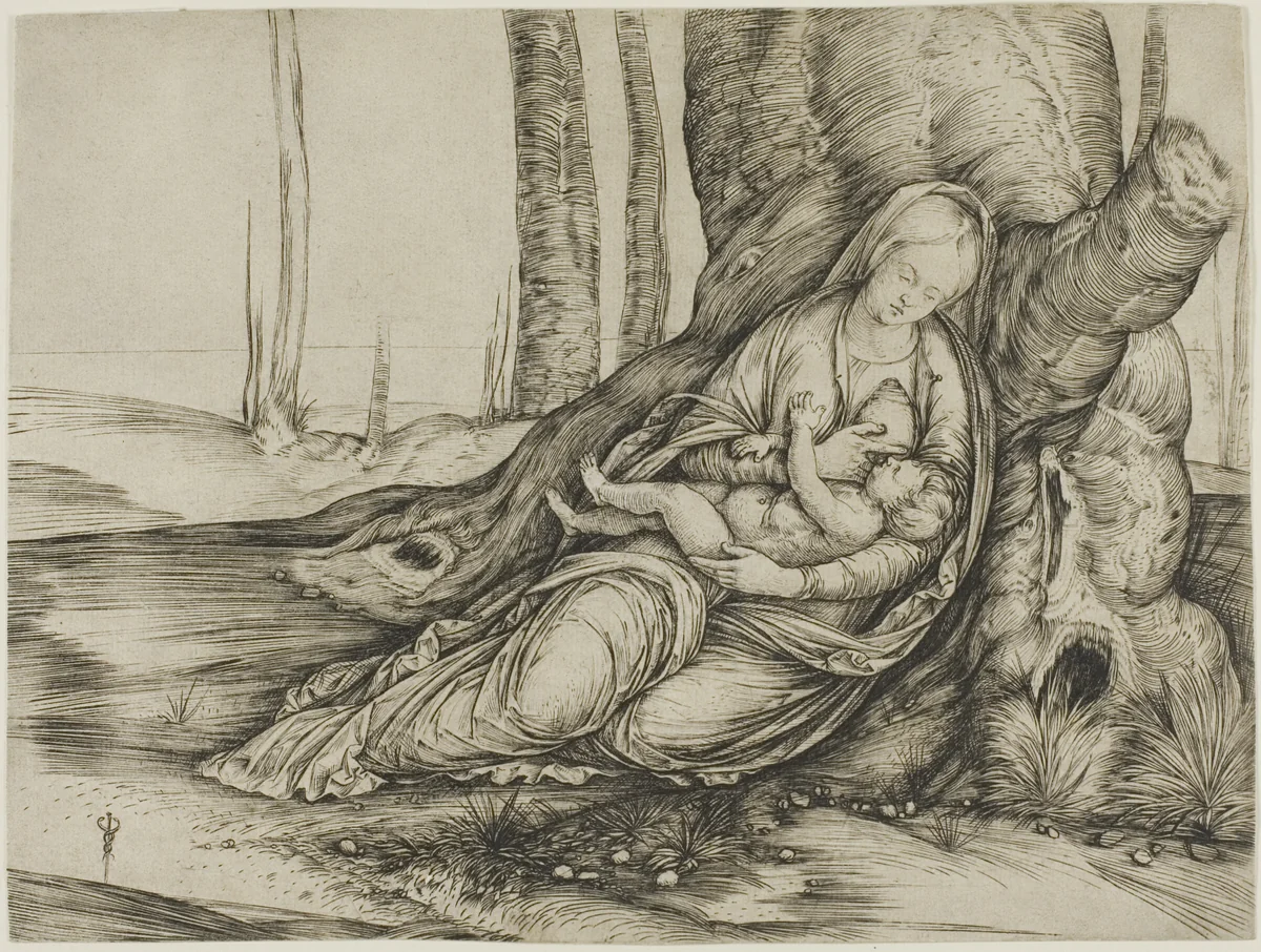 The Virgin and Child Reclining Against a Tree by Jacopo de' Barbari, print, 1498-1508
