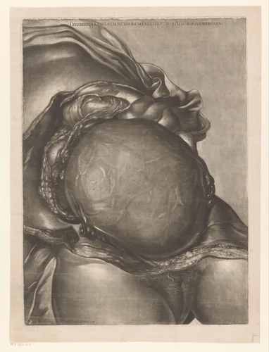 Anatomie van een vrouw met ontlede buik en baarmoeder by Edward Fisher, print, 1757