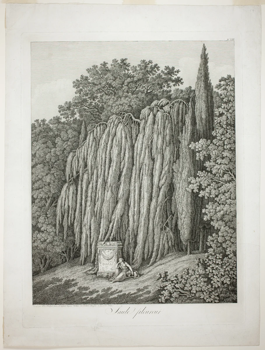 Weeping Willow by Jacob Philipp Hackert, print, 1802