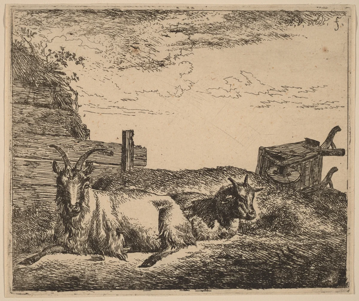Recumbent Goats by Adriaen van de Velde, print, 1657-1659
