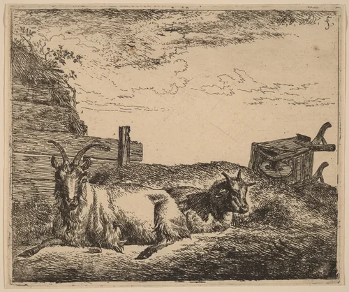 Recumbent Goats by Adriaen van de Velde, print, 1657-1659