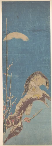 A Hawk Perched on a Snow-covered Pine Tree by Isoda Koryūsai, print, 1700-1799