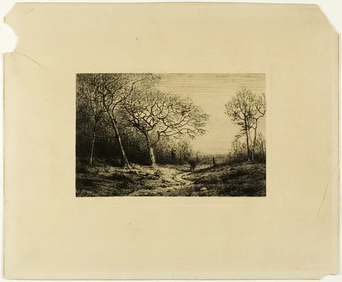 Edge of a Wood by Charles-Émile Jacque, print, 1833-1894