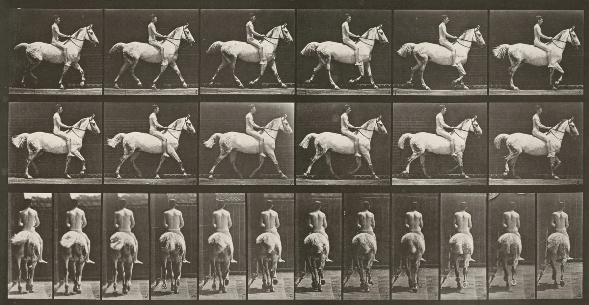 Plate Number 602. "Smith" trotting, bareback; rider nude by Eadweard Muybridge, photograph, 1887