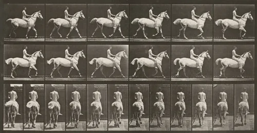 Plate Number 602. "Smith" trotting, bareback; rider nude by Eadweard Muybridge, photograph, 1887