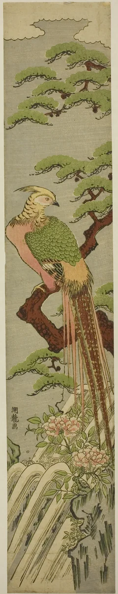 Golden Pheasant on a Pine Tree above Peonies and Waterfall by Isoda Koryusai, print, 1775-1785
