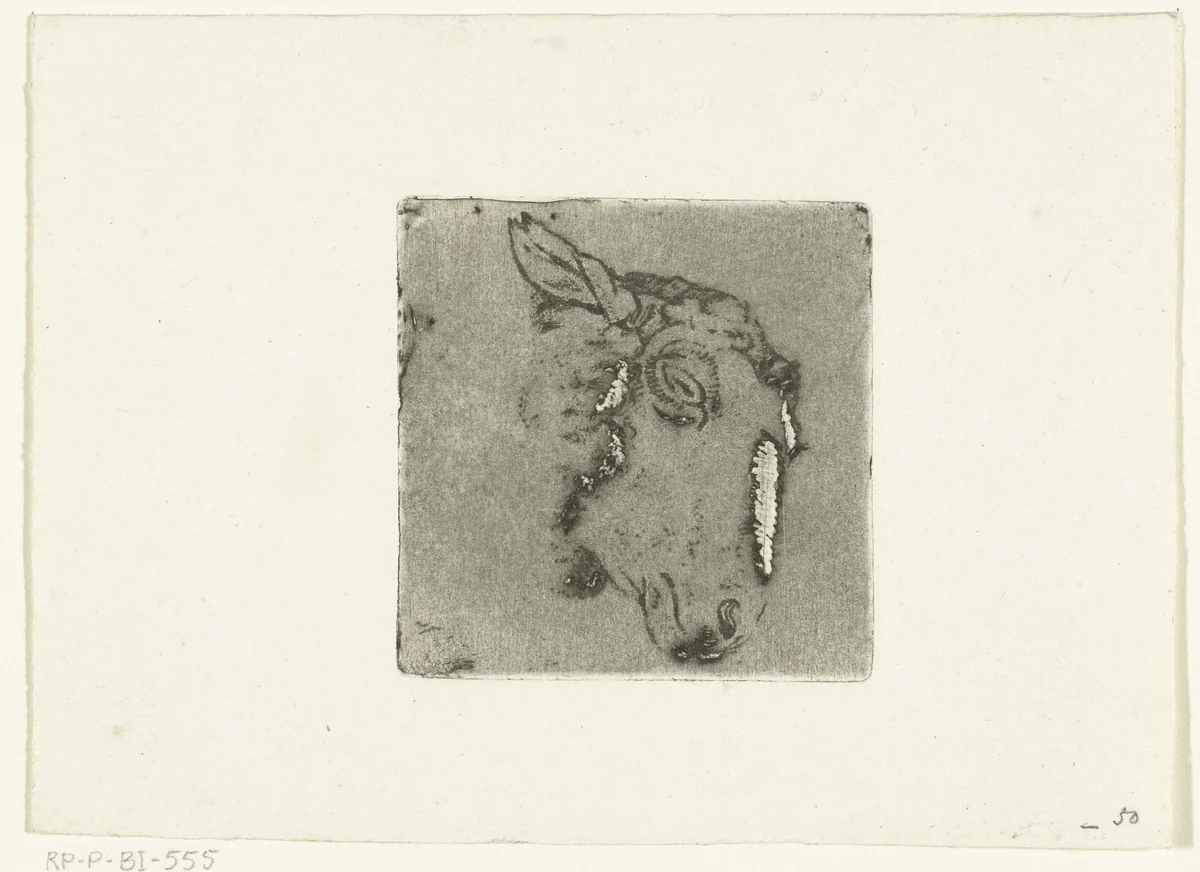 Kop van schaap by Pieter Barbiers, print, 1808-1848