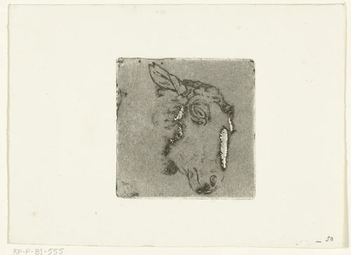 Kop van schaap by Pieter Barbiers, print, 1808-1848
