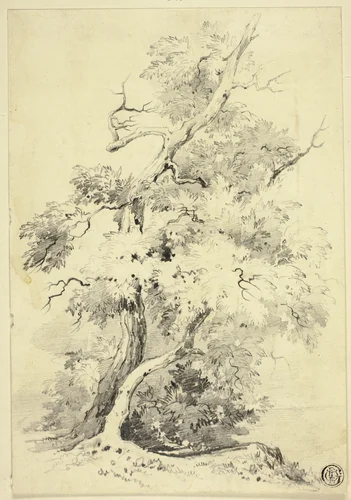 Tree on Bluff Beside Water by Joshua Wilson Faulkner, drawing, 1810-1820
